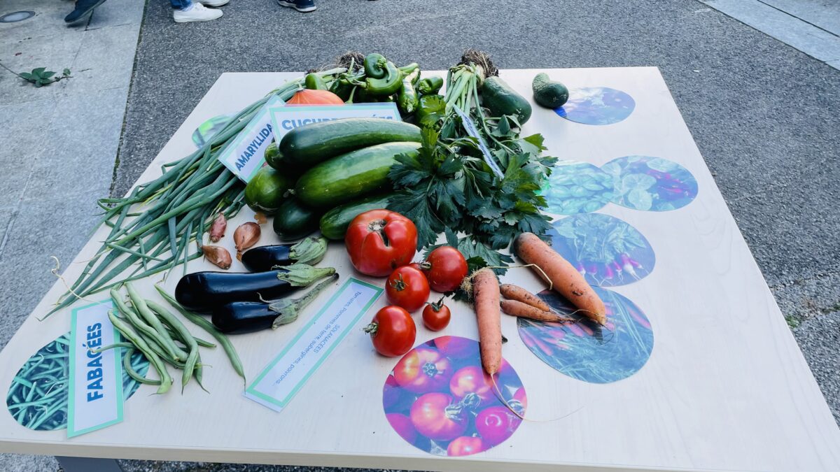 フランス経済・財務省内で育てられた野菜