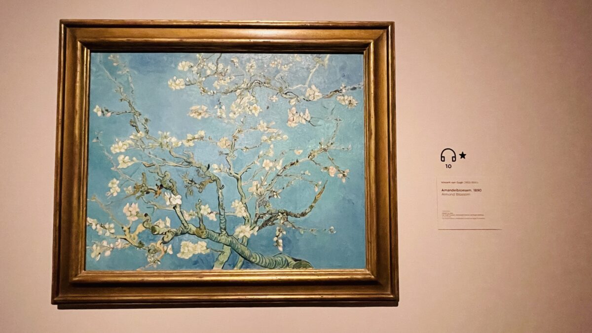 ゴッホ美術館 アーモンドの木の花