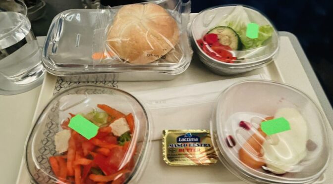 LOTポーランド航空エコノミークラス搭乗記｜安いが機内食は微妙
